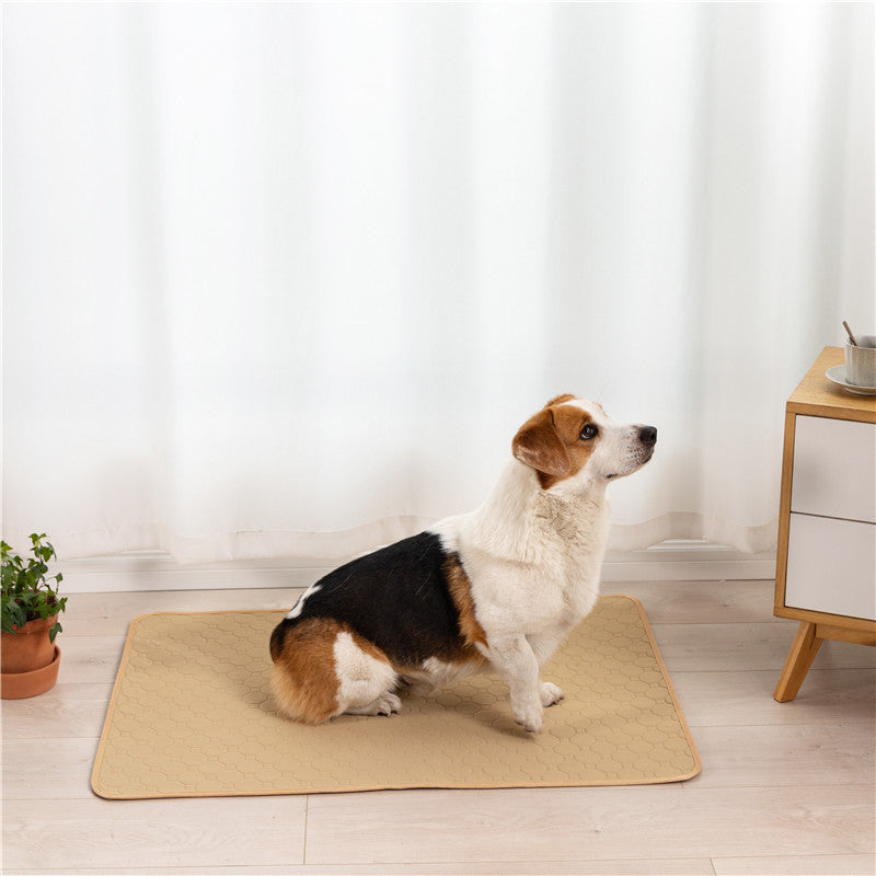 Pet urine pads are washable and reusable.