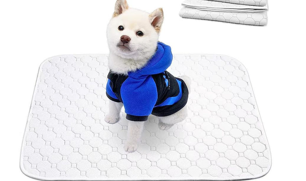 Pet urine pads are washable and reusable.